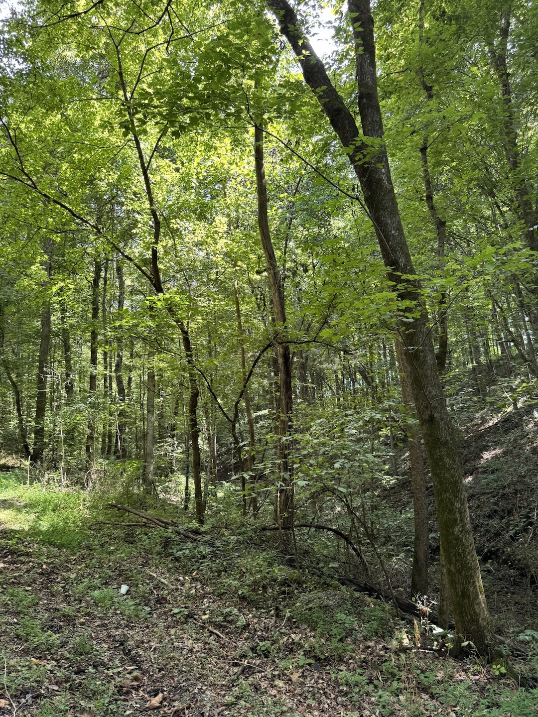 0 Albert Fentress Rd unit RTC2906900, Greenbrier, TN 37172 - photo 1