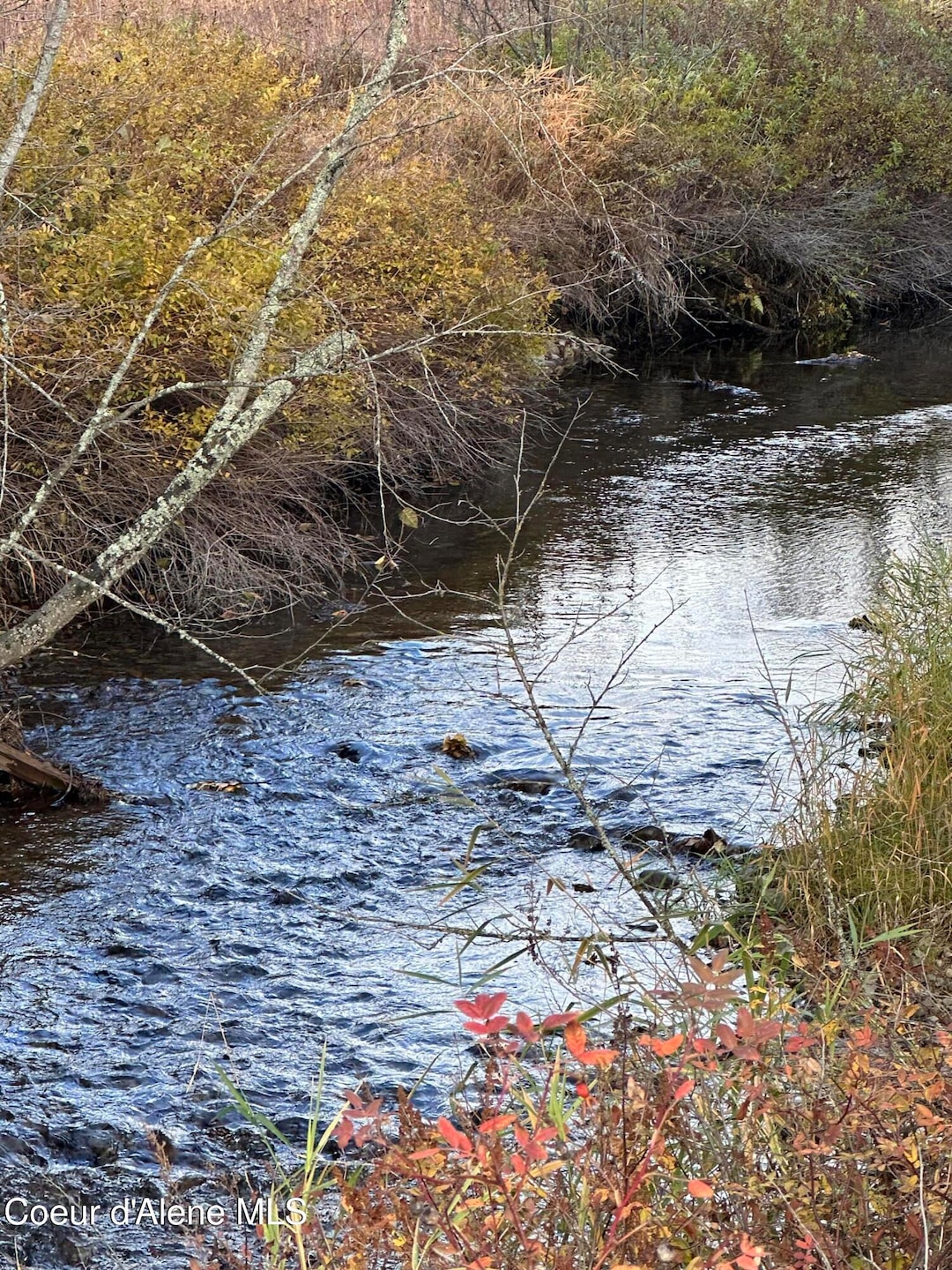 `Mission Creek