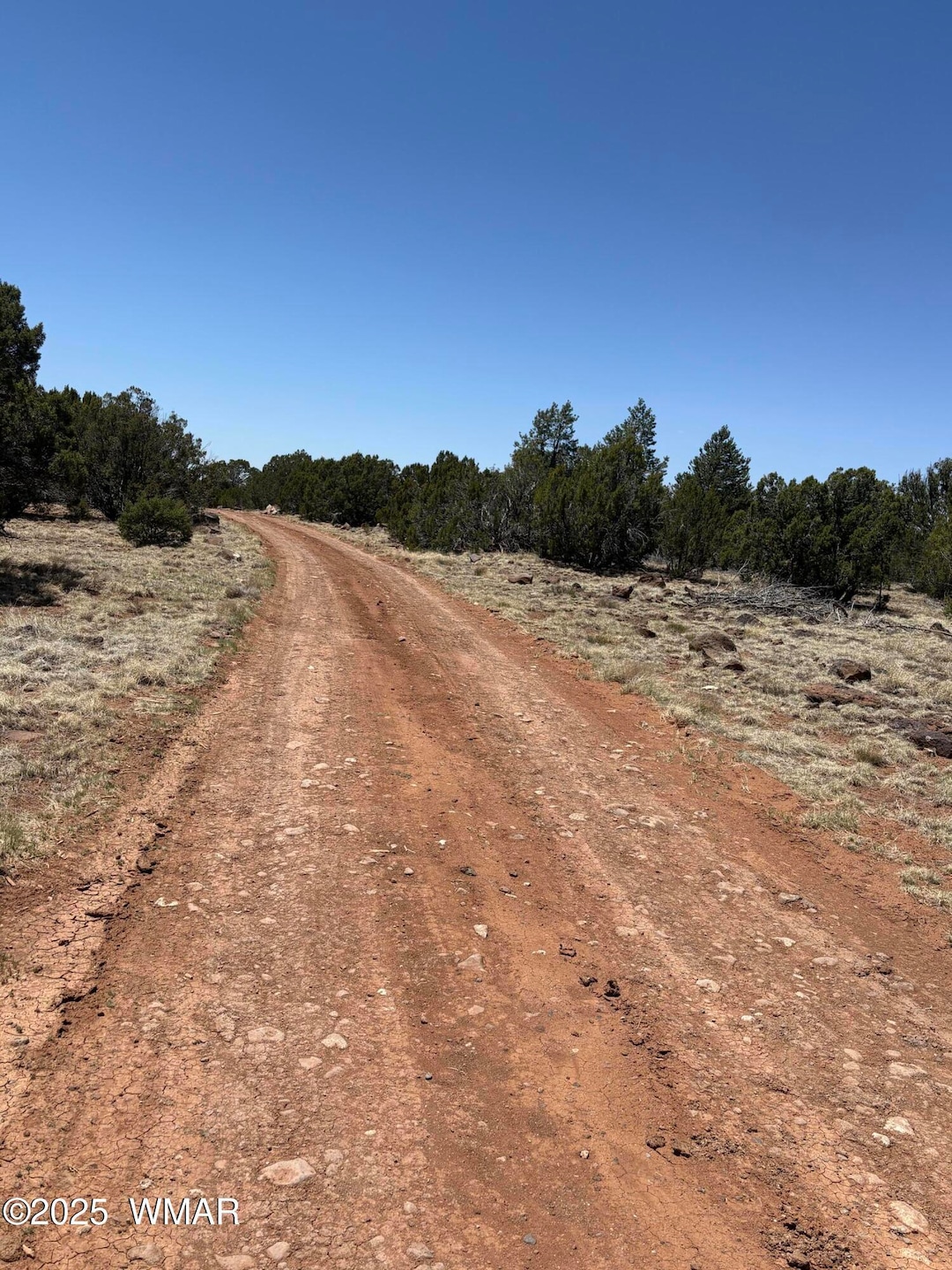 Texas Road