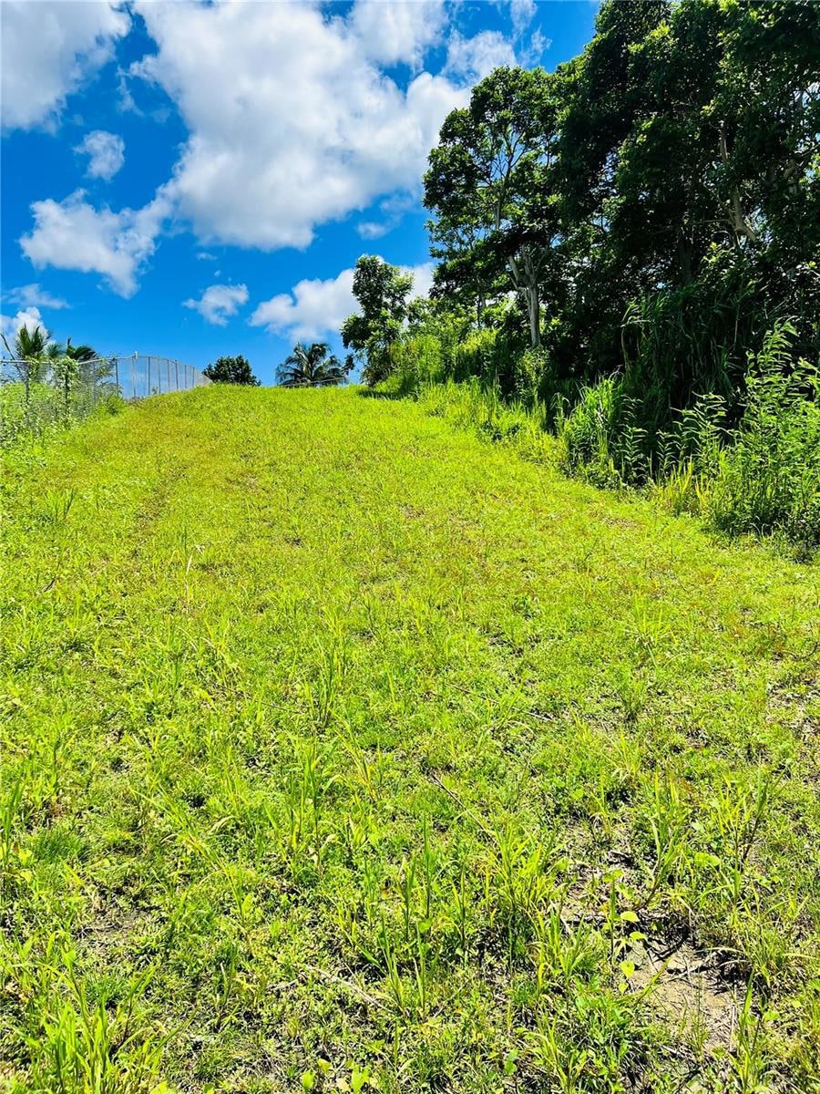 857 Carretera, Carolina, PR 00987 - photo 1