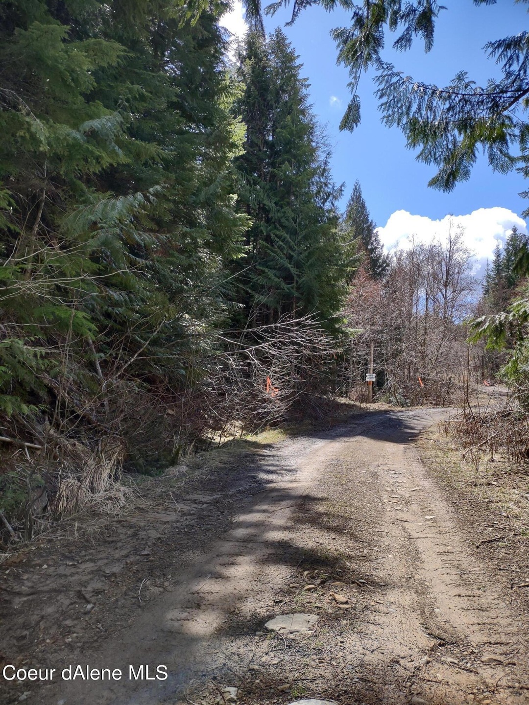 IMG_20220423_121554714_HDR