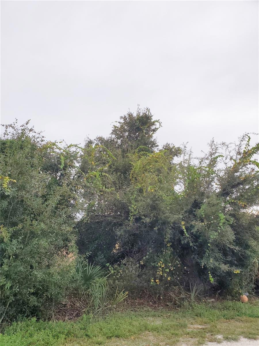 27053 Aloha Dr, Punta Gorda, FL 33955 - photo 1