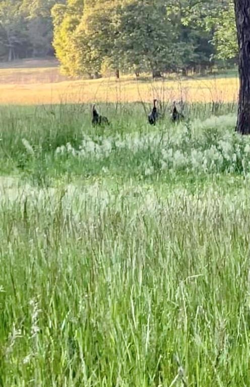 0 Harrison unit 1109428, Tecumseh, OK 74873 - photo 1