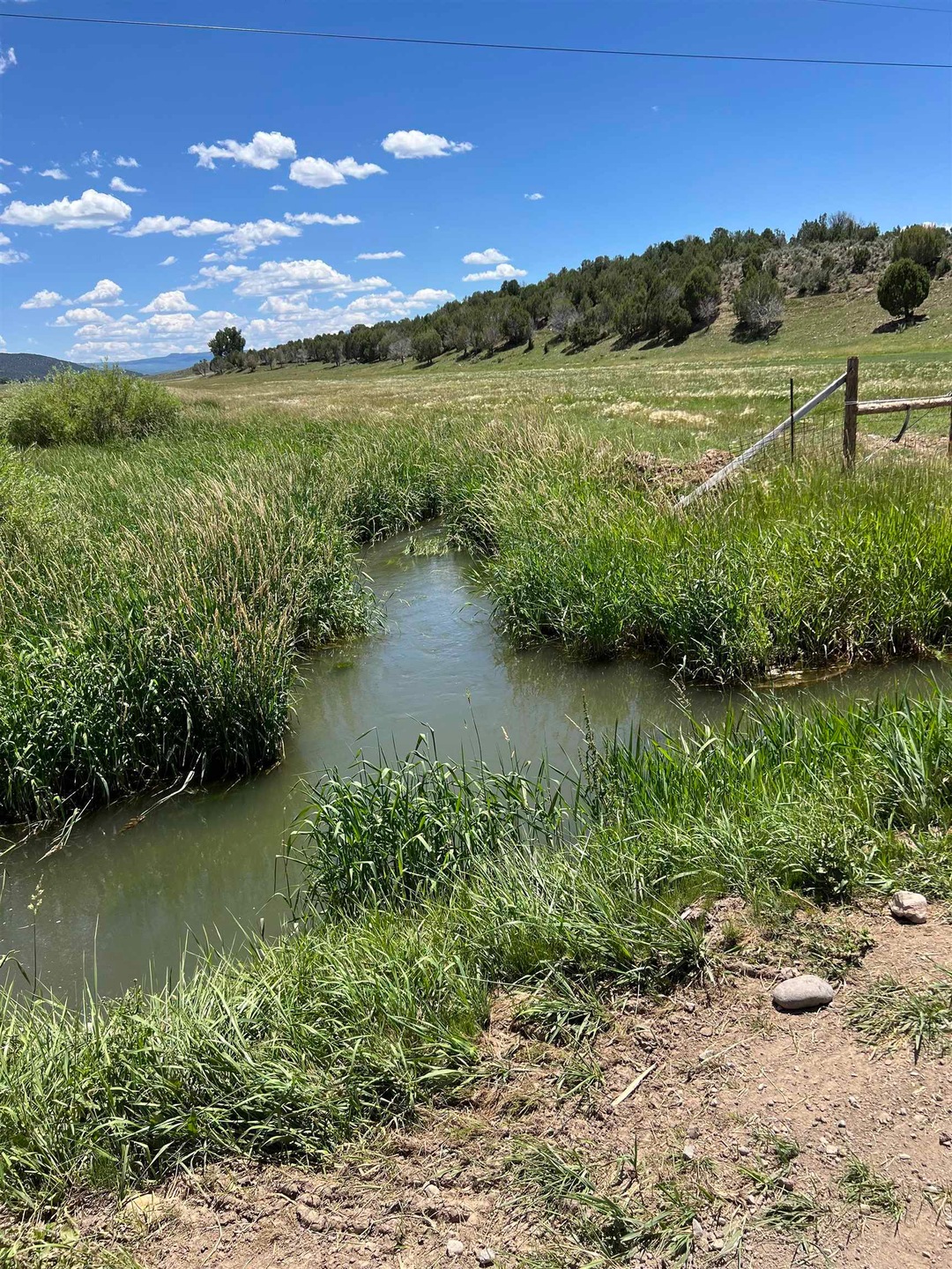 Sold $2,250,000 • Co-Listing Agent
