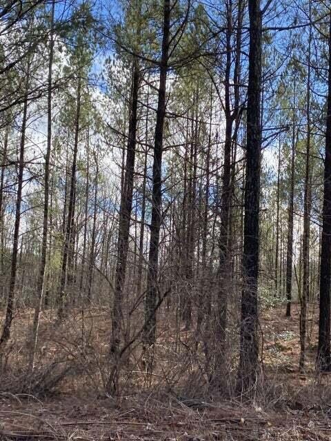 Lot 14 Thomas Springs Rd, Crossville, TN 38572 - photo 1