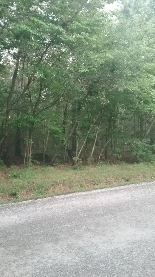 0 Bowling Alley Rd, Manchester, TN 37355 - photo 1