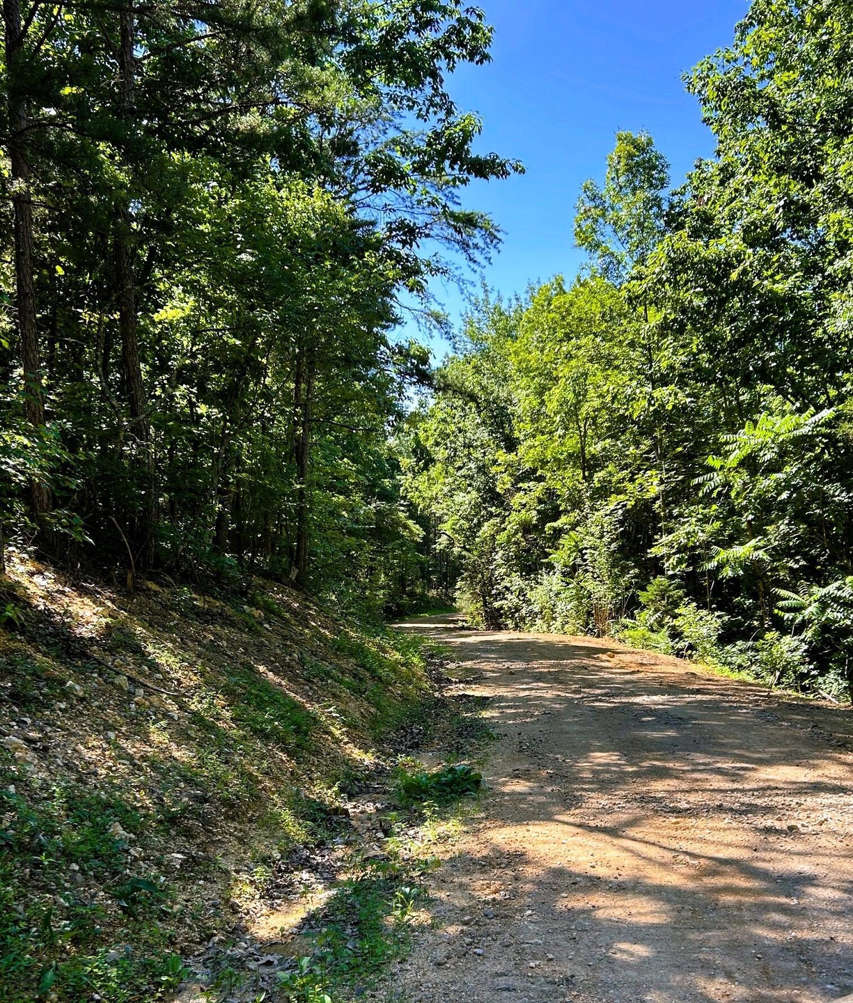 c1a driveway