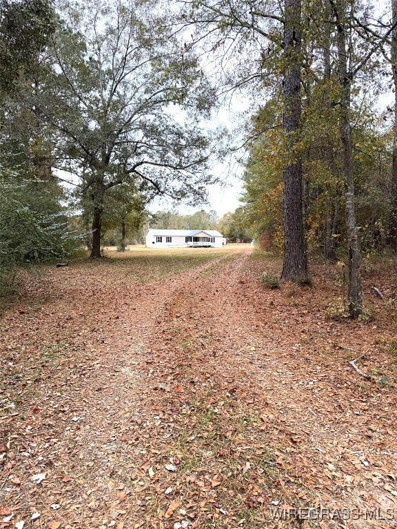 16447 Eddie Cannon Rd, Andalusia, AL 36420 - photo 1