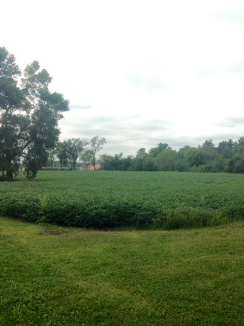 L160 S Rutland St, Brooklyn, WI 53521 - photo 1