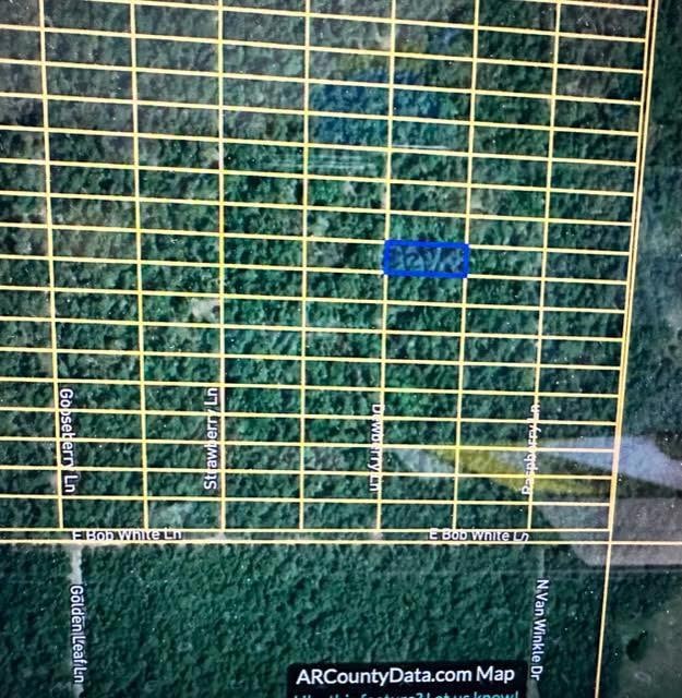 1316 Dewberry Ln, Horseshoe Bend, AR 72512 - photo 1