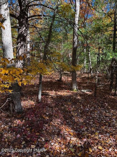 0 Lots 910 911 Willow Grove Rd unit PM-111351, Pocono Summit, PA 18346 - photo 1