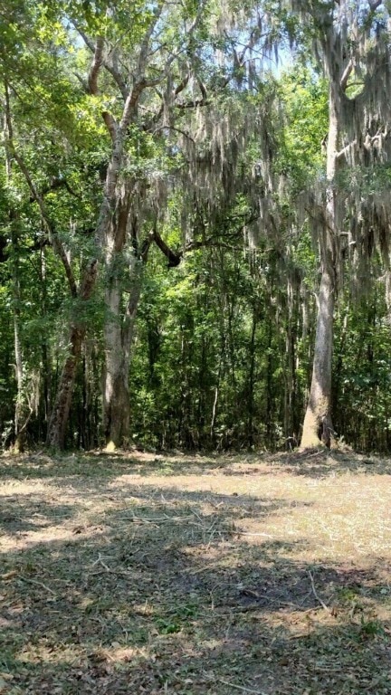 Lots have beautiful trees.  Lots that face the mar