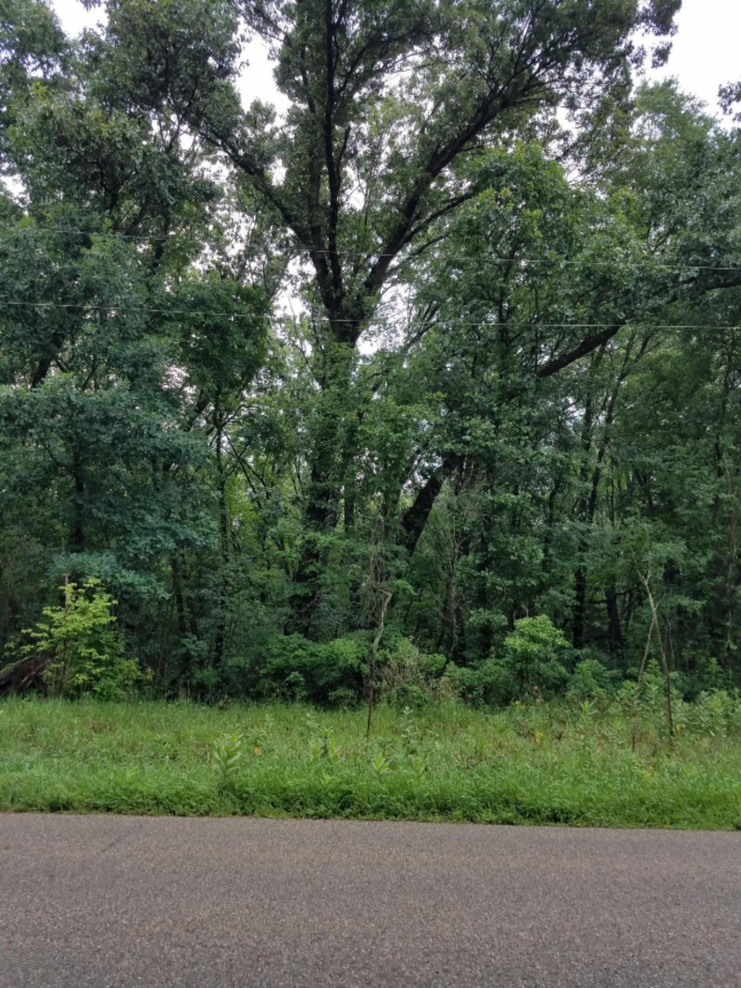 20170712_142738