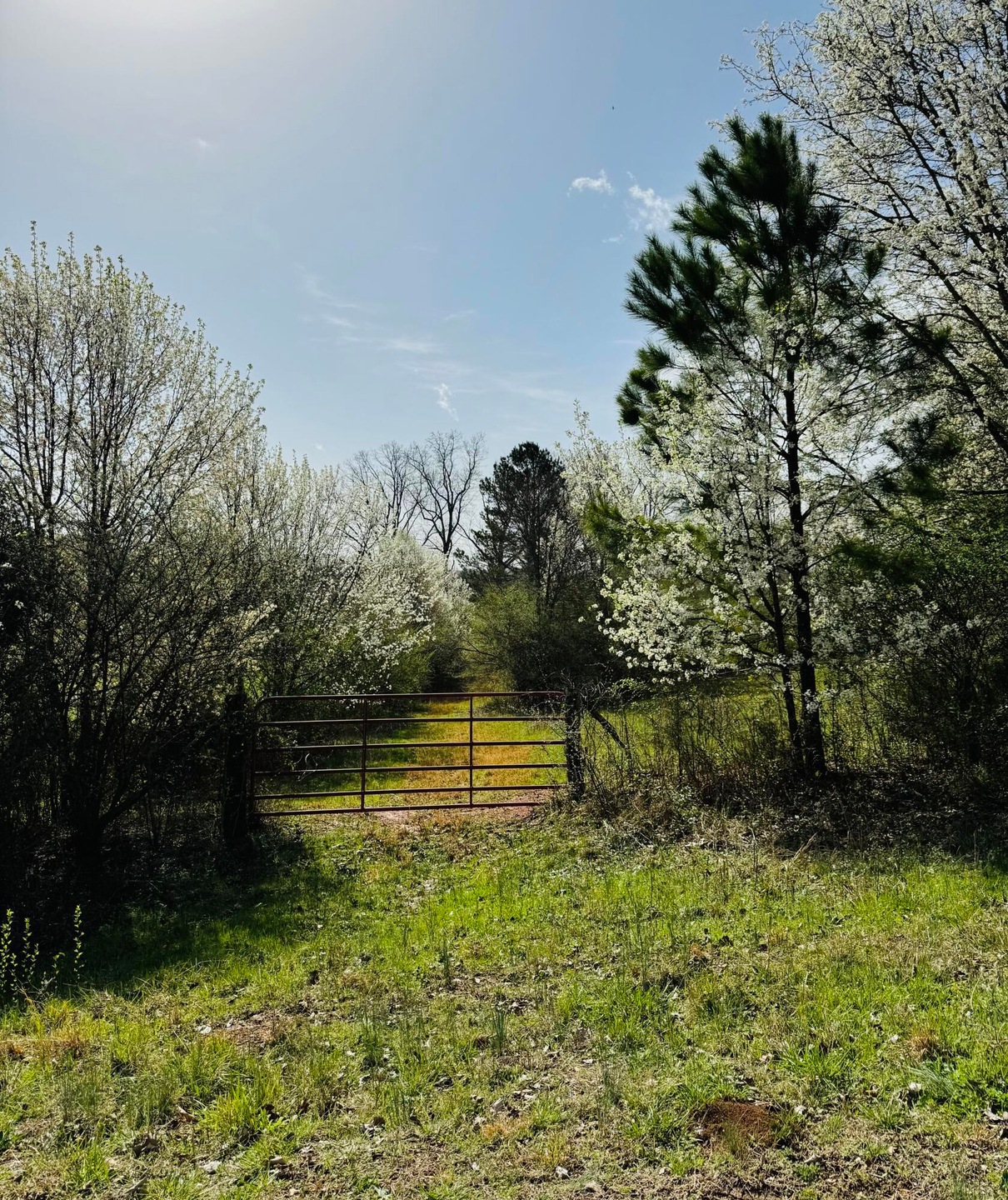 Under Contract $80,000