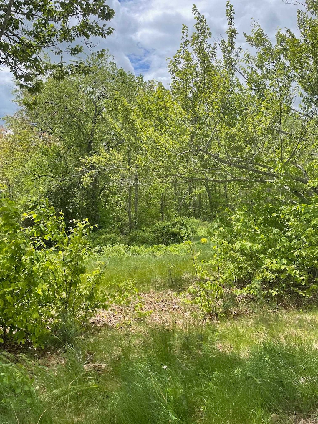 Street View of 50' wide Right-of-way