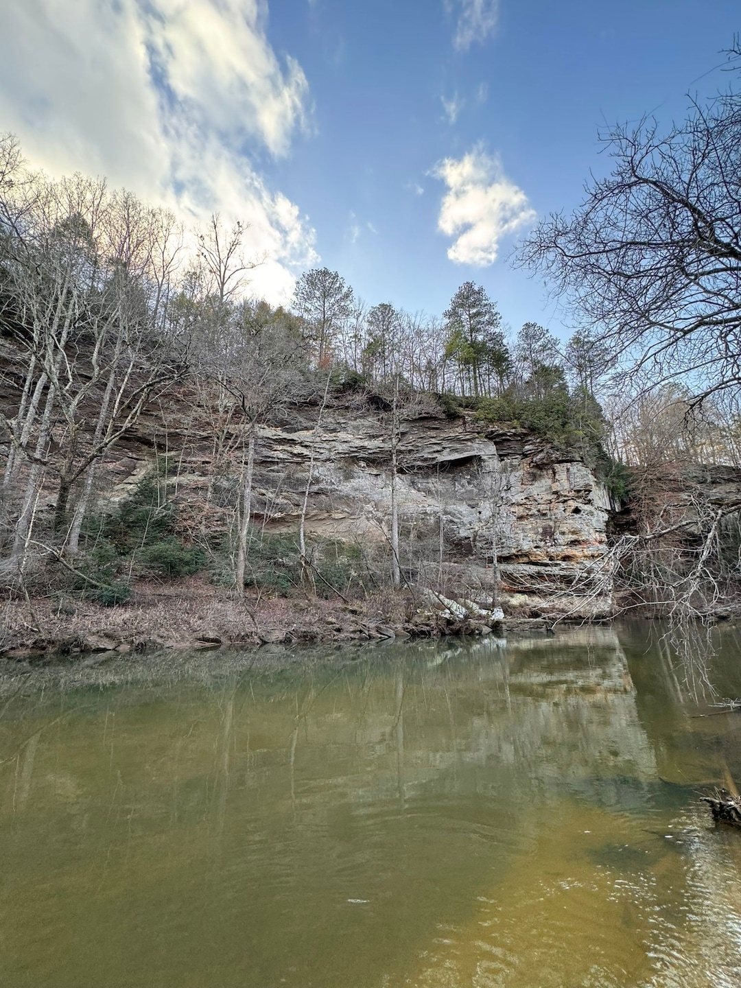 Harmony Way, Hamilton, AL 35570 - photo 1