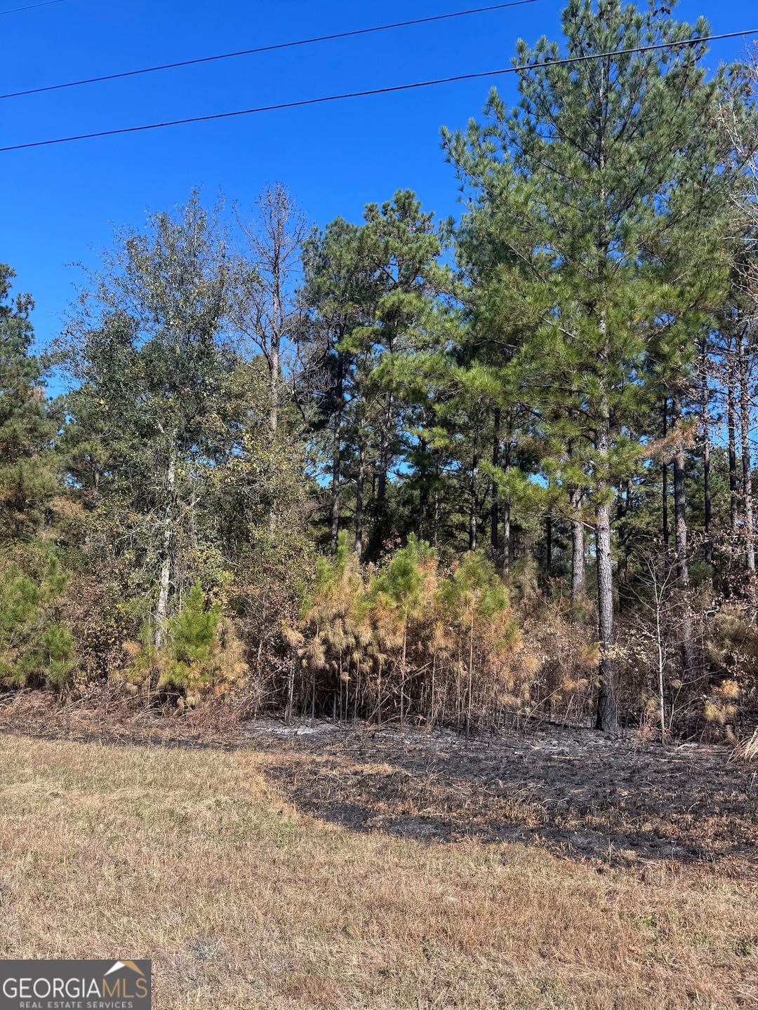 131 W Drummond Rd, West Point, GA 31833 - photo 1