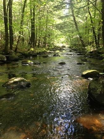 0 Tolman Rd, Harrison, ME 04040 - photo 1