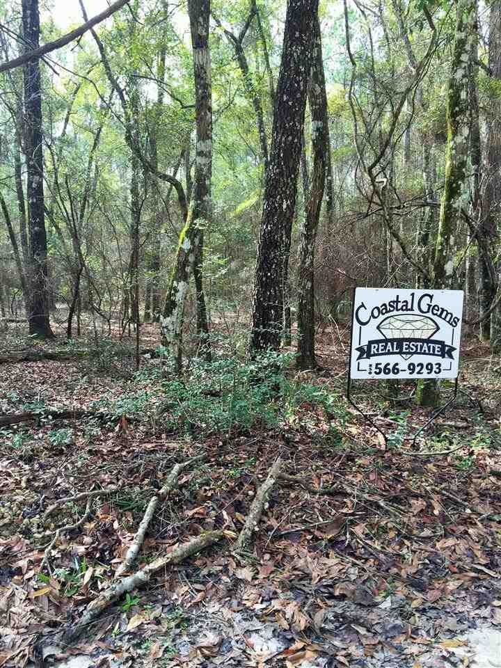 0 Sioux Trail unit 1 254720, Crawfordville, FL 32327 - photo 1