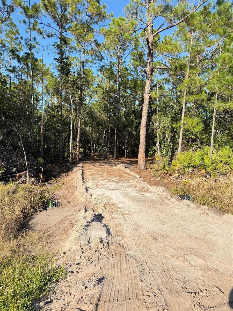 0 E Colonial Dr unit MFRS5139120, Christmas, FL 32709 - photo 1