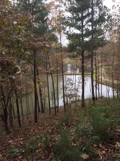 00 Highlands Dr, Oxford, MS 38655 - photo 1