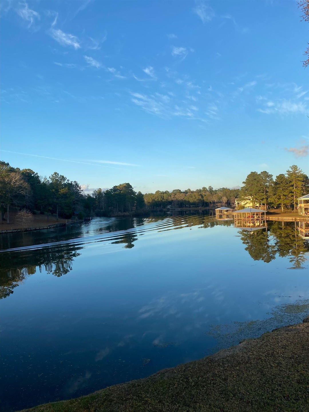 12409 Magnolia Point Rd, Andalusia, AL 36421 - photo 1