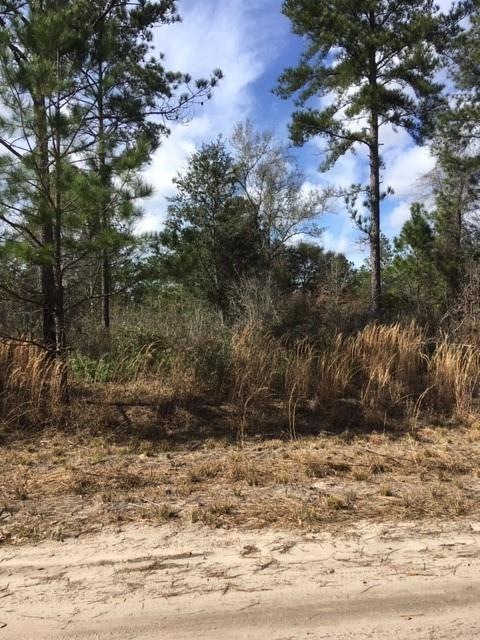 Lot 115 Colonial Coast Cir, Townsend, GA 31331 - photo 1