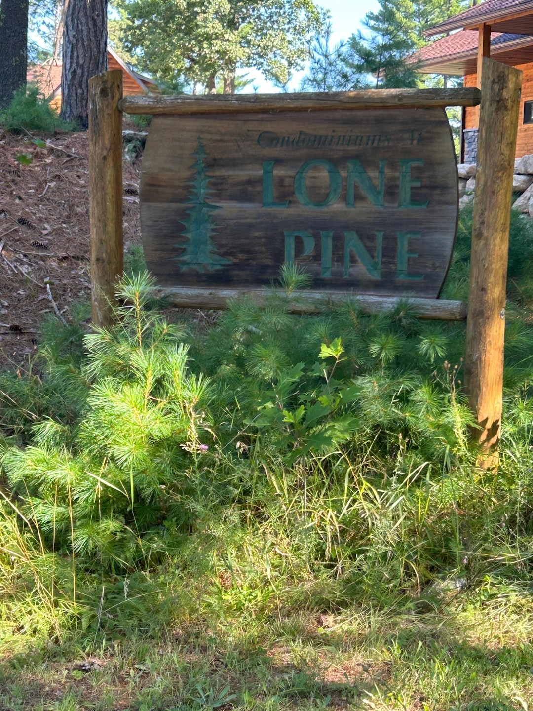 7616 Walleye Way, Lake Tomahawk, WI 54539 - photo 1