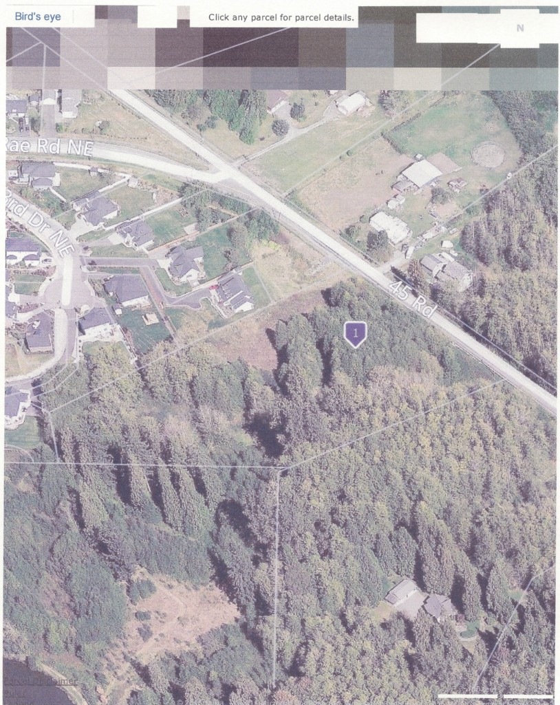 161 45 Rd, Arlington, WA 98223 - photo 1