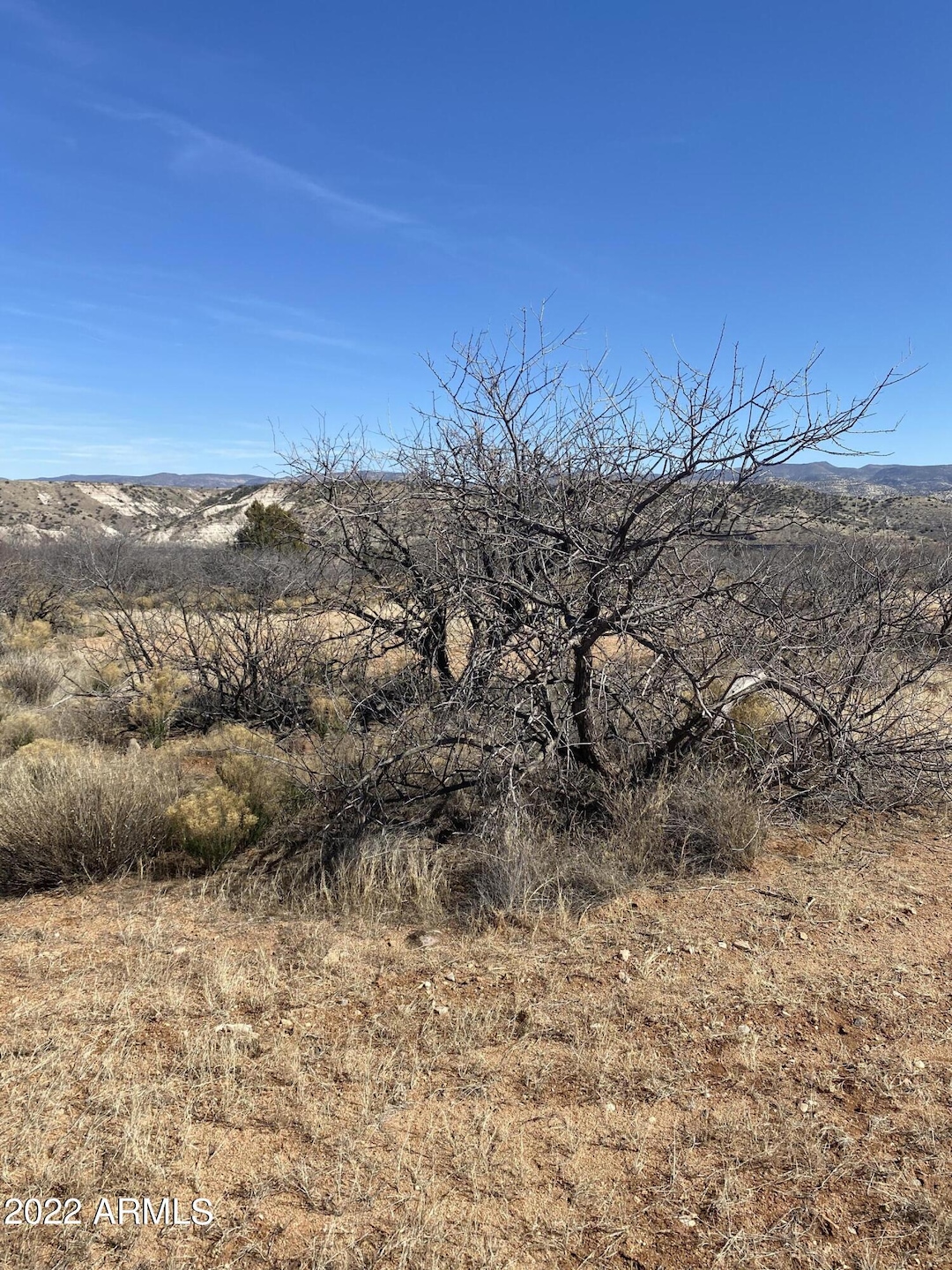 AE9D0DBB-01B0-4101-B4D3-EDFEB6C92451