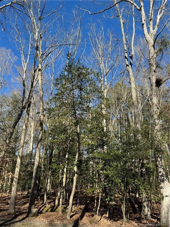 8409 Croaker Rd, Williamsburg, VA 23188 - photo 1