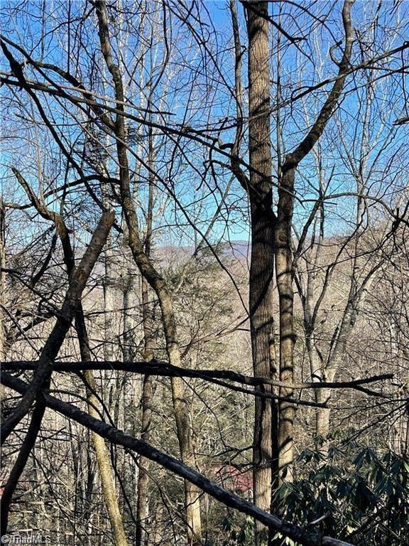 Lot E-15 Laurel Ridge Rd, Banner Elk, NC 28604 - photo 1