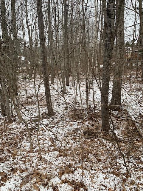 56 Woodcrest Ave, Camden, ME 04843 - photo 1