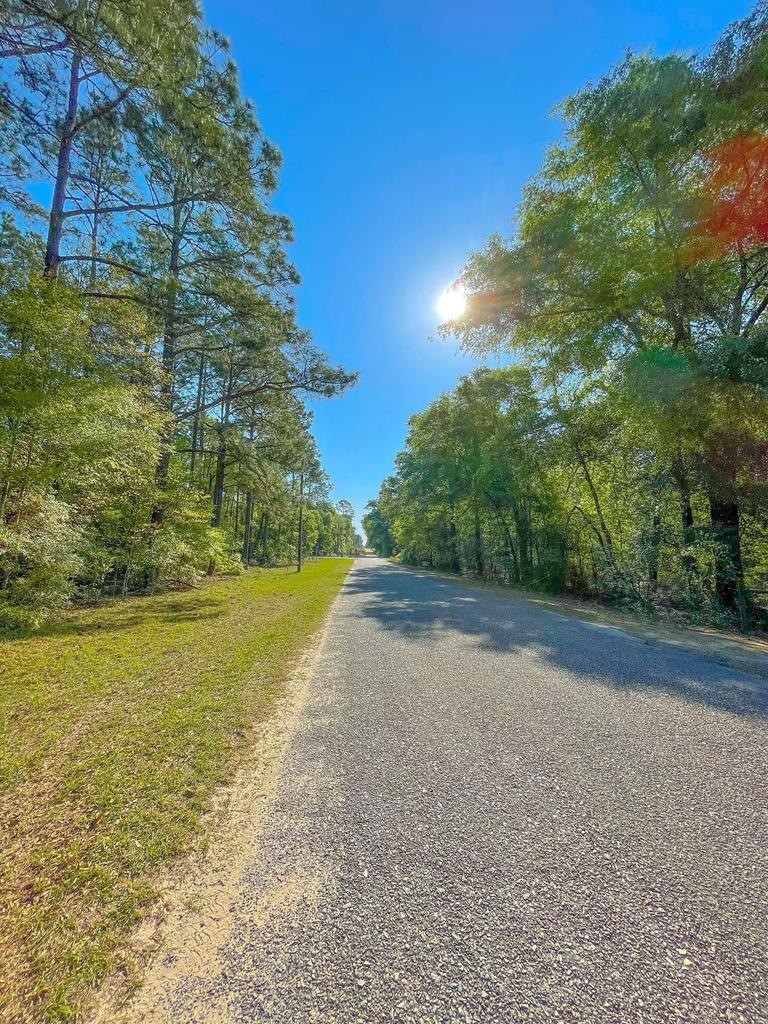 0 S Cedar Point Cir, Cordele, GA 31015 - photo 1