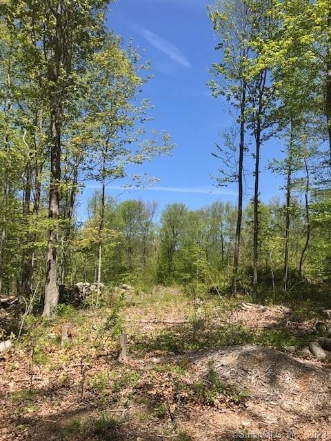 Sold $110,000 • Co-Listing Agent