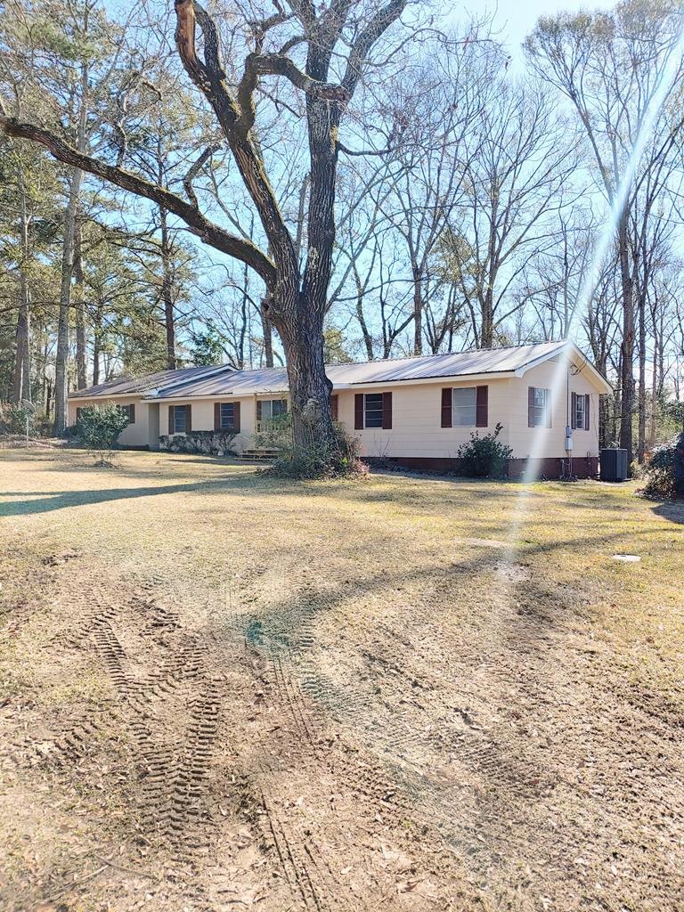 Main View