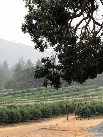 Beautiful farm