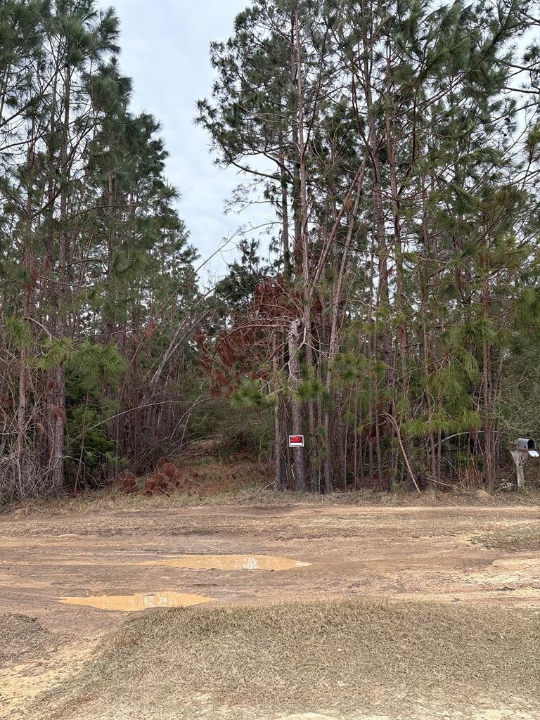 223 Hill Rd, Lyons, GA 30436 - photo 1