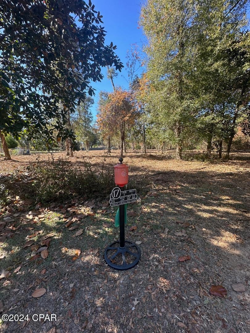 2836 Appalachee Trail, Marianna, FL 32446 - photo 1