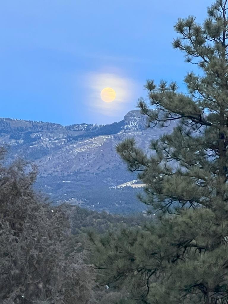 33020 Meadow Ct, Trinidad, CO 81082 - photo 1