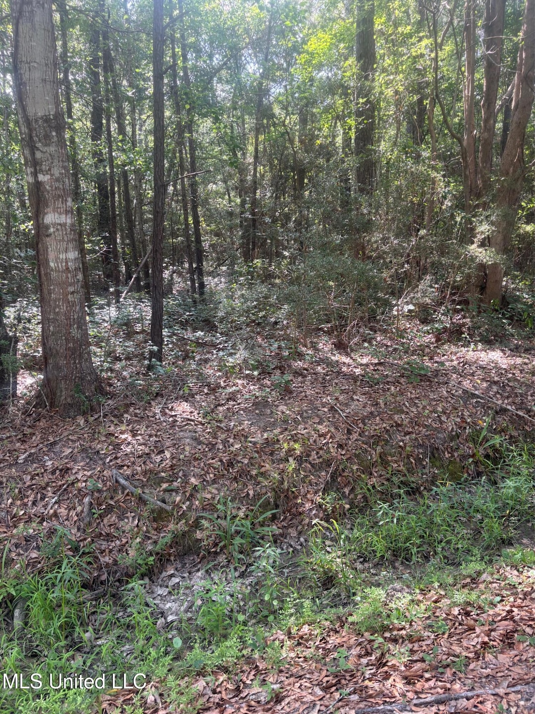 For Sale $9,000 • Co-Listing Agent