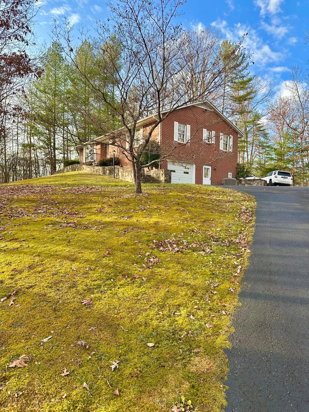 3114 Longdale Furnace Rd, Clifton Forge, VA 24422 - photo 1