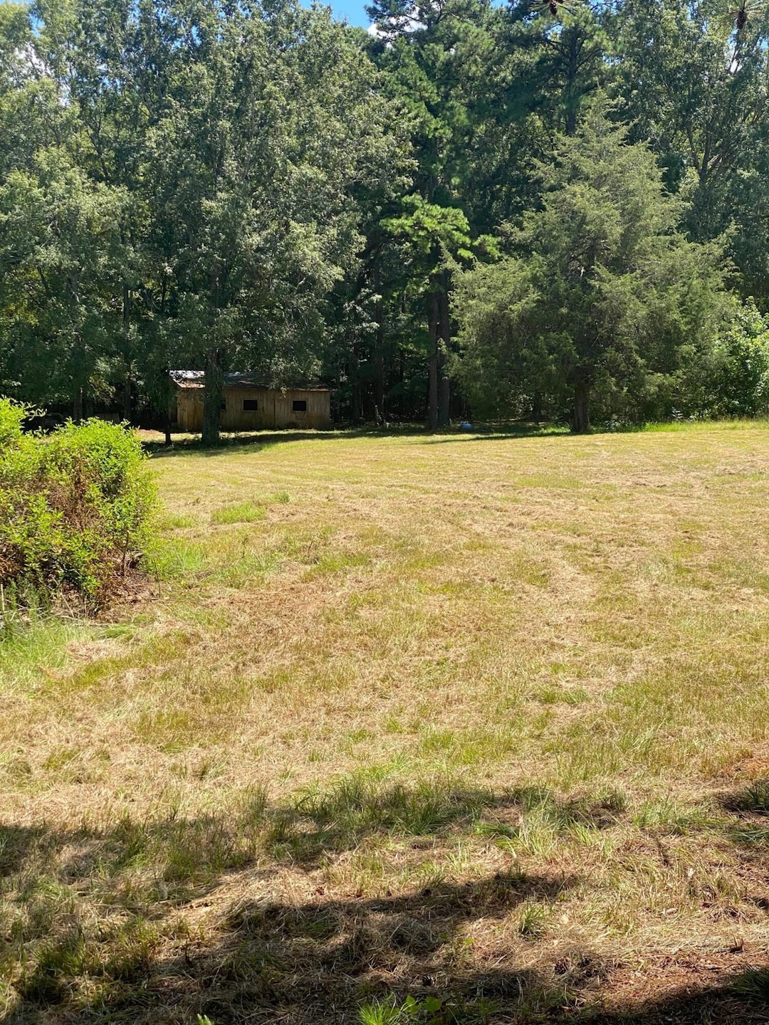 pic 7