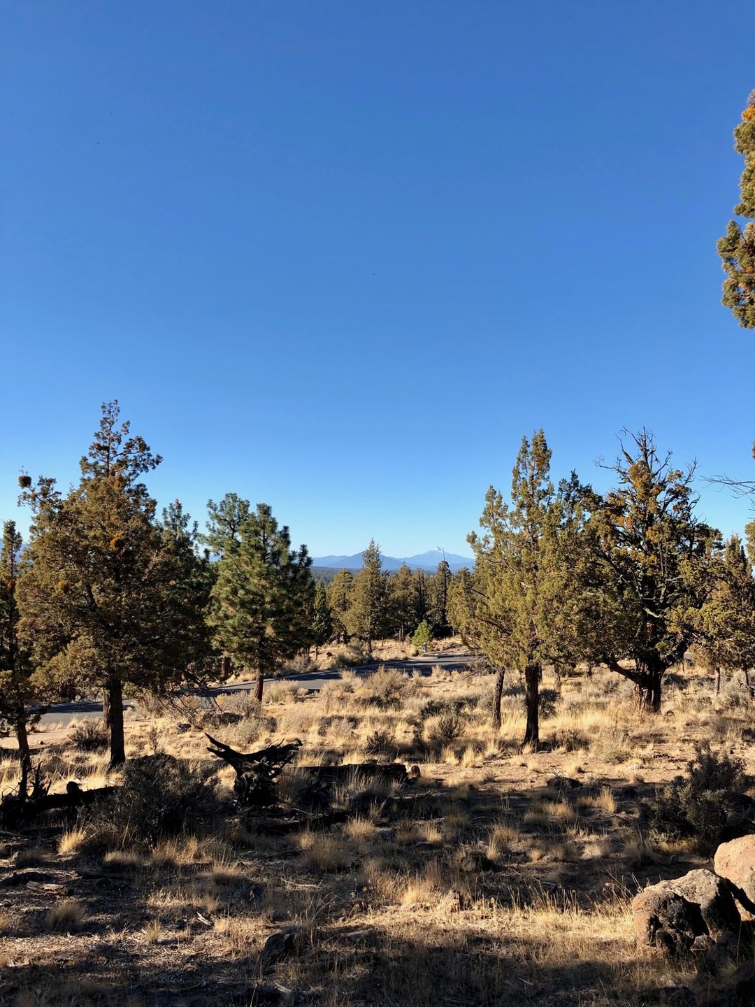 14 NW Wild Rye Cir, Bend, OR 97703 - photo 1