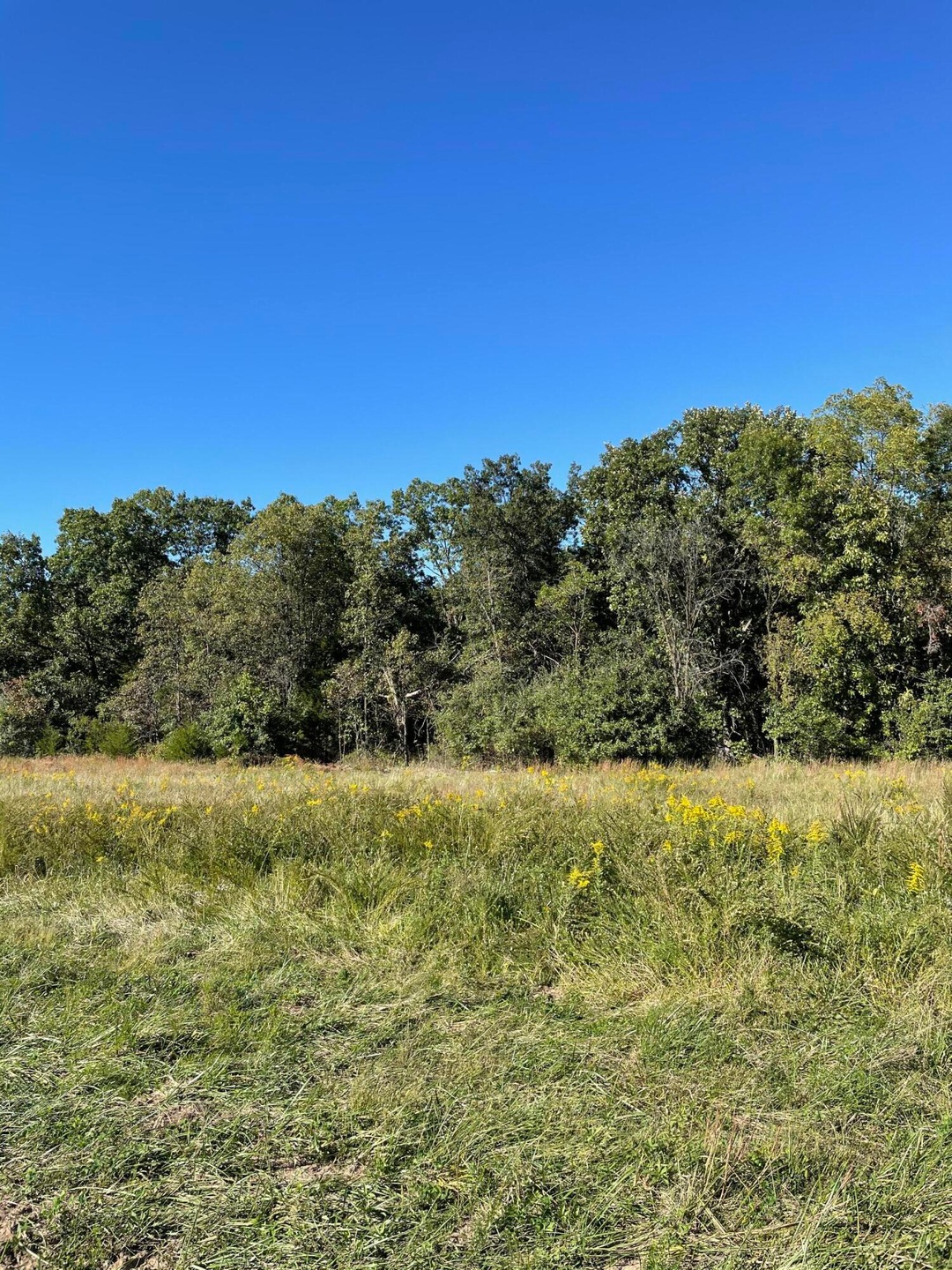Lot 5