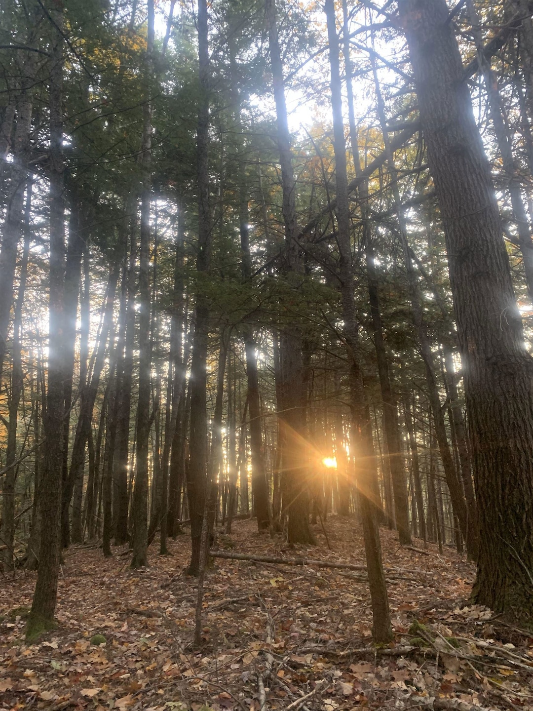 Sold $115,000 • Co-Listing Agent