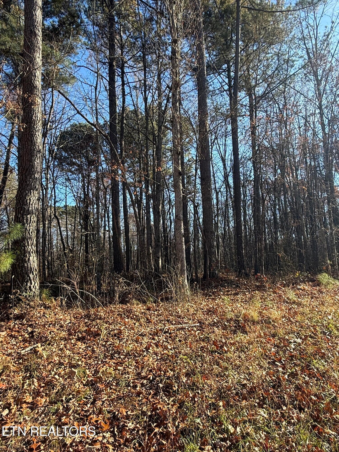LOT 9 Hwy 70 N, Monterey, TN 38574 - photo 1