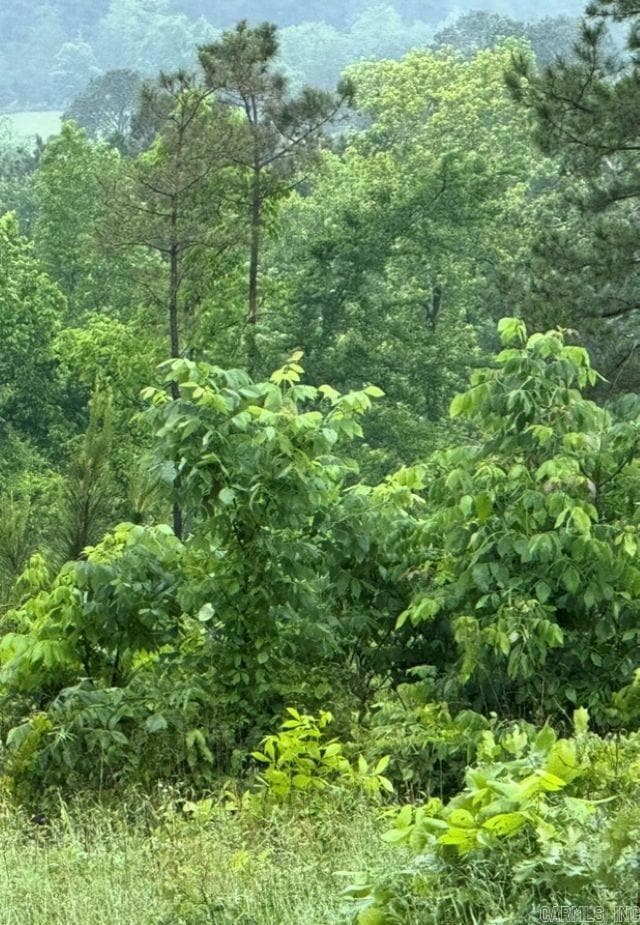 300 Block Angel St, Amity, AR 71921 - photo 1