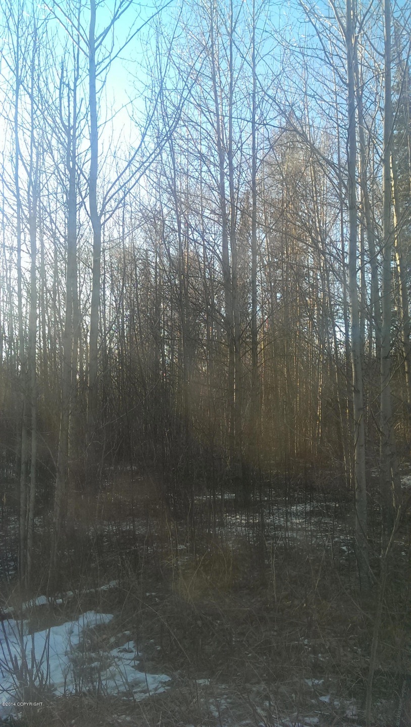 IMAG0597 (1)