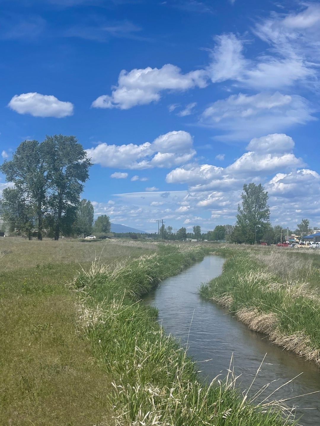 Sold • Co-Listing Agent